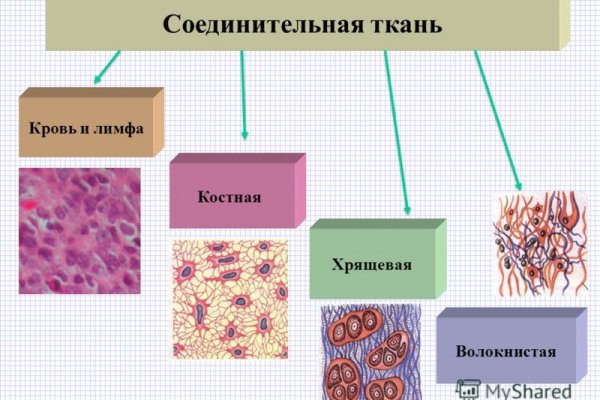 Ссылки на кракен маркетплейс