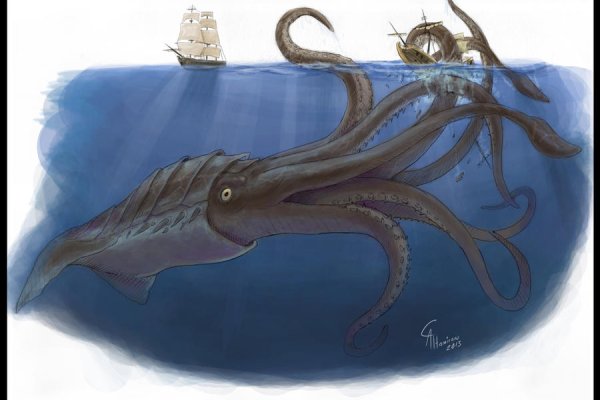 Kraken рабочее зеркало