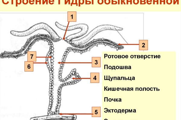 Кракен ссылка тупа германия